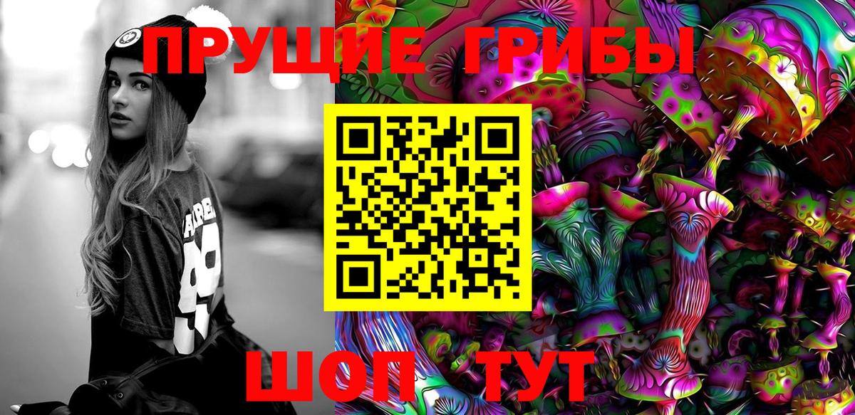 закладка  Вход с VPN  Малгобек  Галлюциногенные грибы Cubensis 