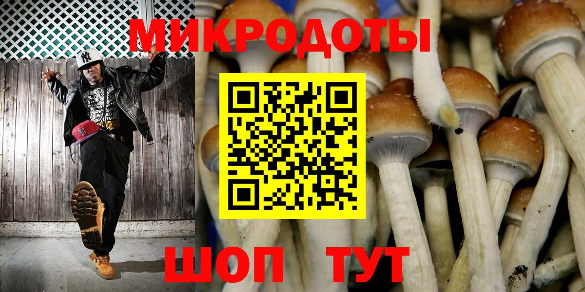 Псилоцибиновые грибы мицелий Малгобек